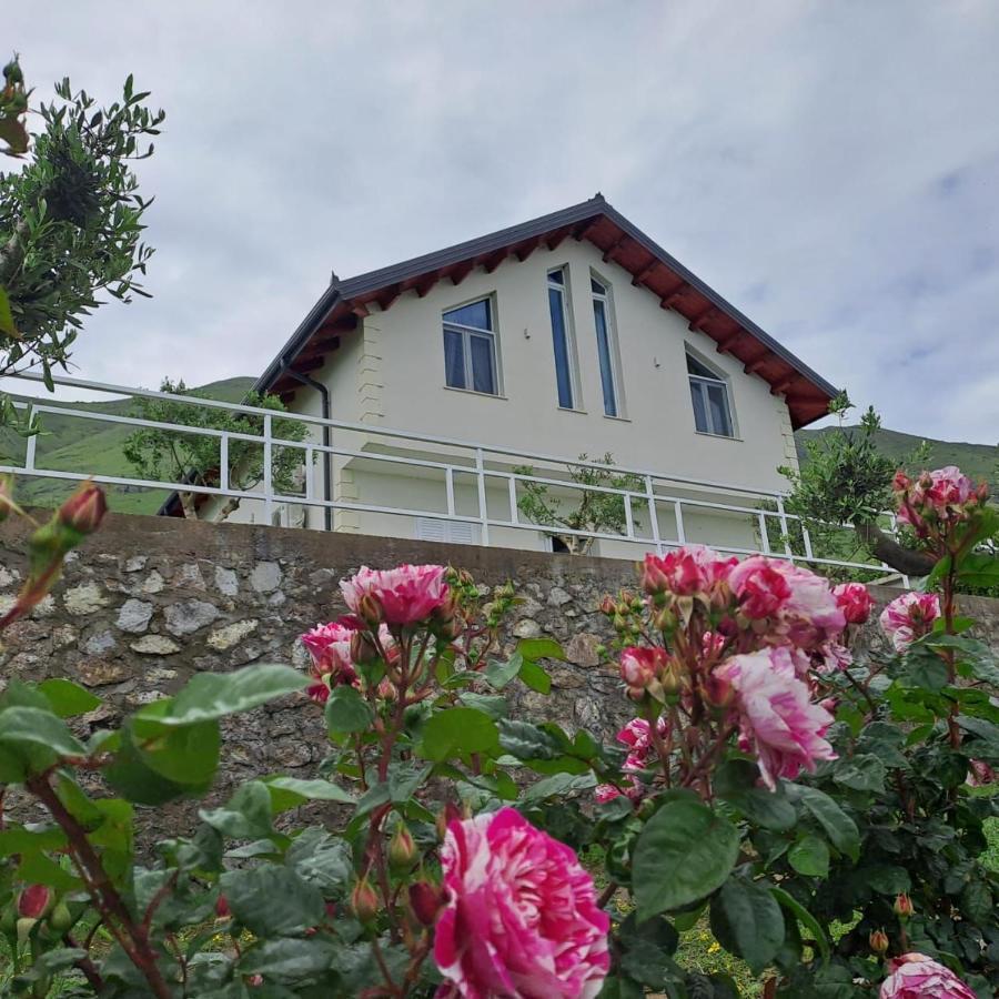 Xhuli Guesthouse Shkoder Exterior photo