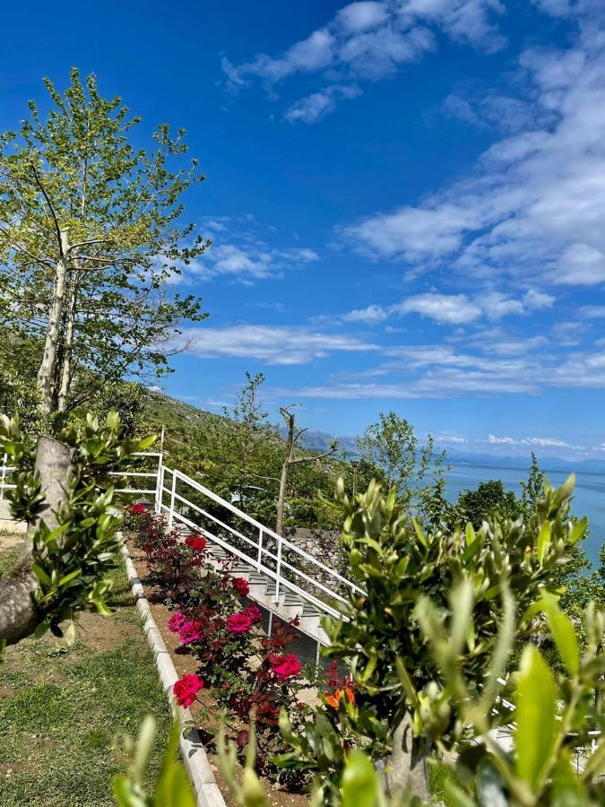 Xhuli Guesthouse Shkoder Exterior photo